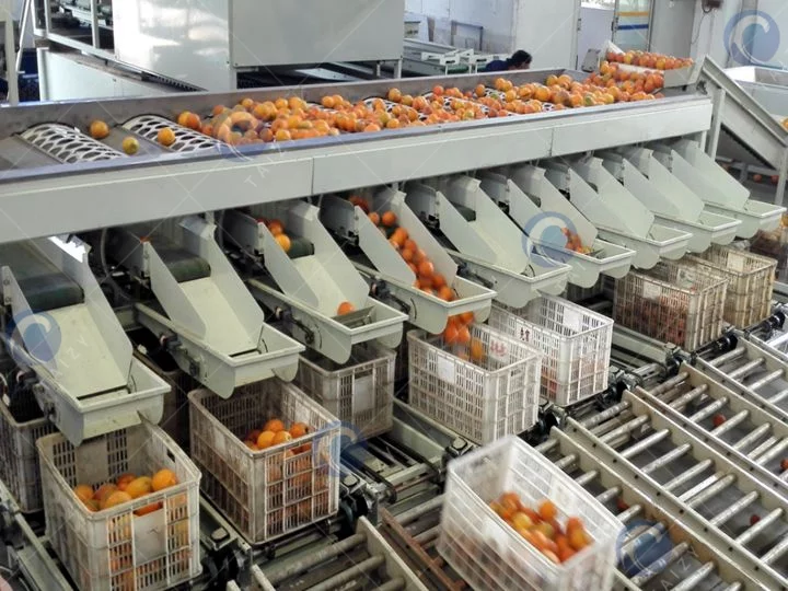 Food Industry